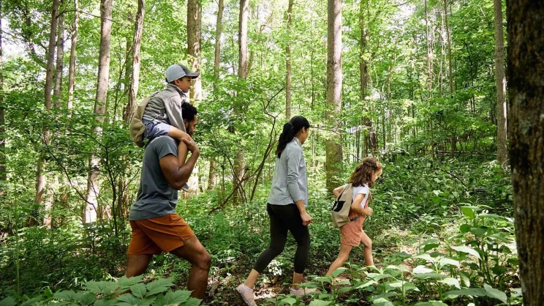 野花农场度假村丨美国纽约丨Auberge Resorts Collection-24