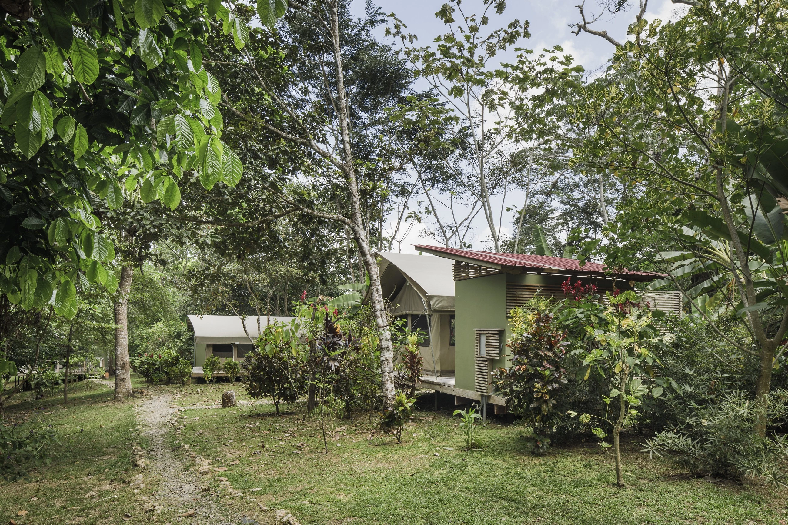 Canopy Camp Darién 生态酒店-23