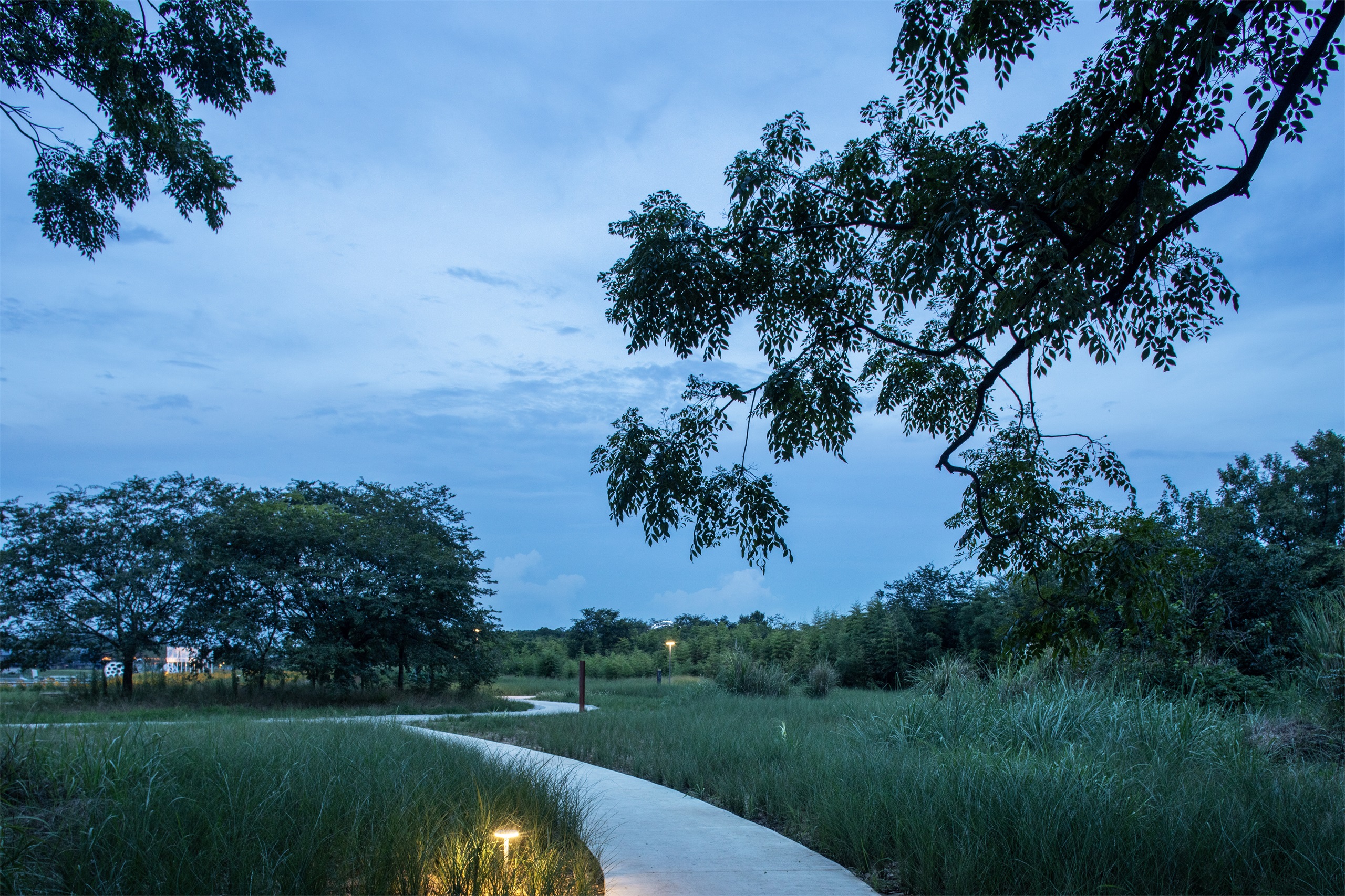 凤翔洲水文化公园丨中国衢州丨张唐景观-60