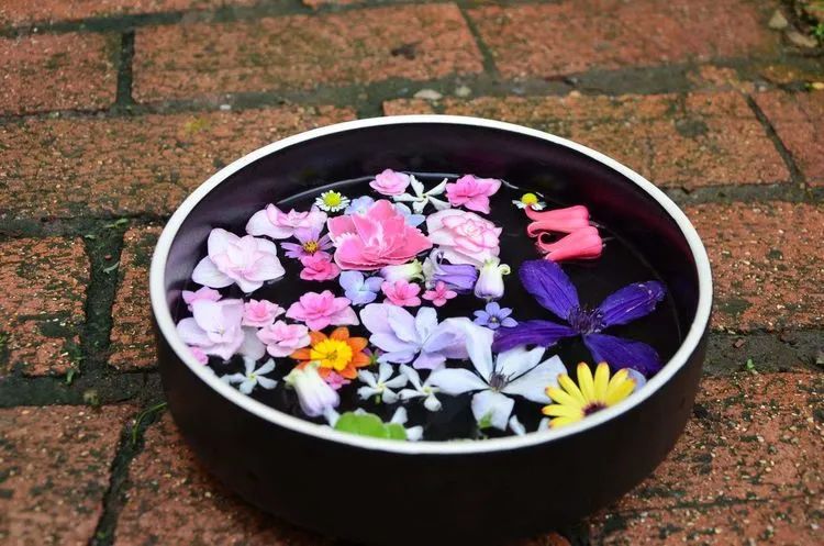 90后夫妻用4年时间，在魔都造了60平米花园，遛狗逗猫，好不惬意~-90