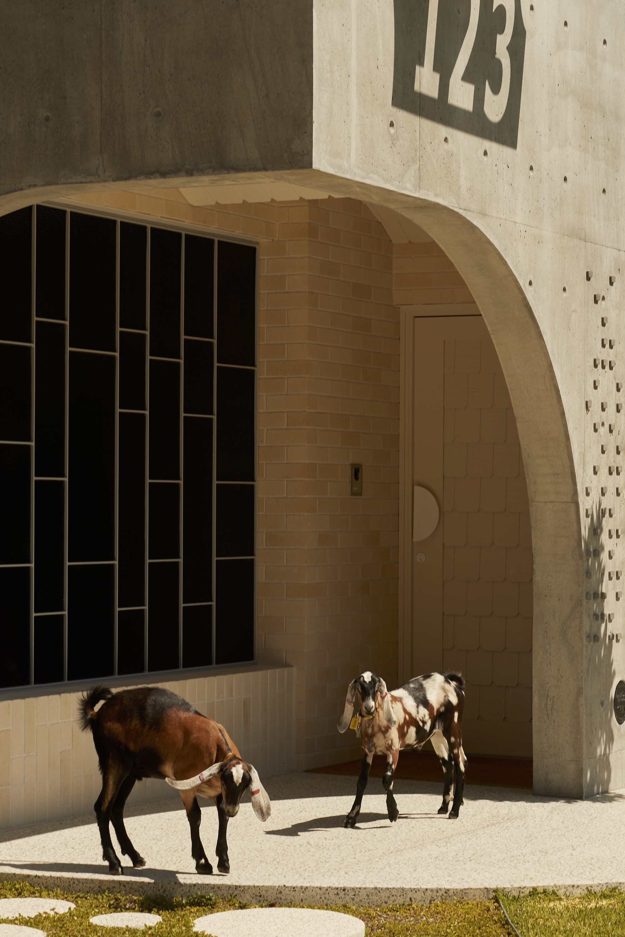 123 号房子丨澳大利亚丨Neil Cownie Architect-35