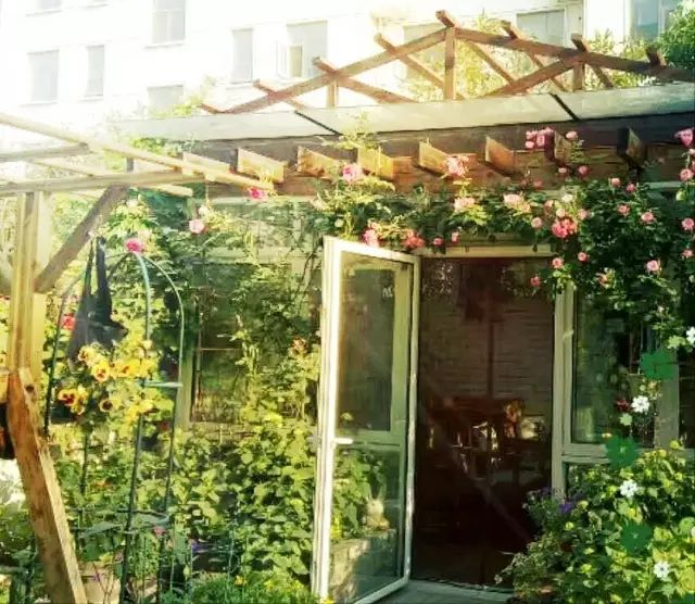 都市中的宁静院子 | 享受生活的诗意空间-68