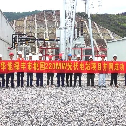 上海宝冶承建的禄丰市桃园220MW光伏电站项目成功并网-150