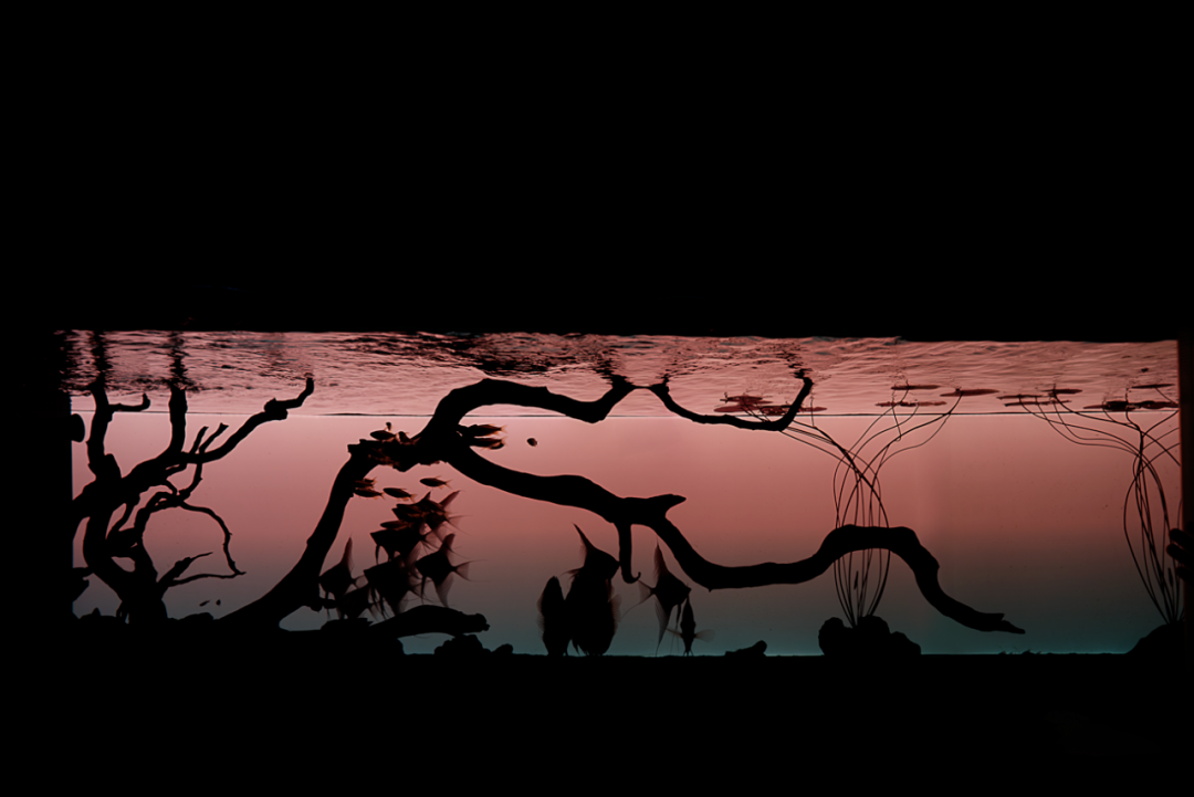 PrivateHome|美而雅的大平层-116