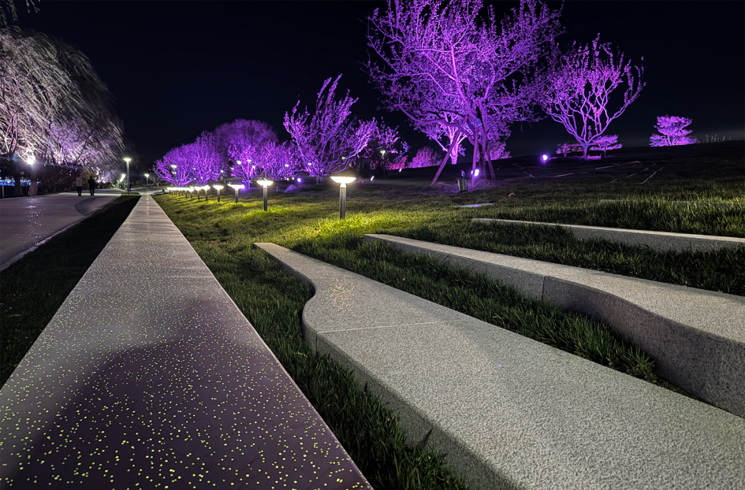 点亮水上红毯智启运河新生——中国院助力北京副中心大运河文化水岸高质量发展-33