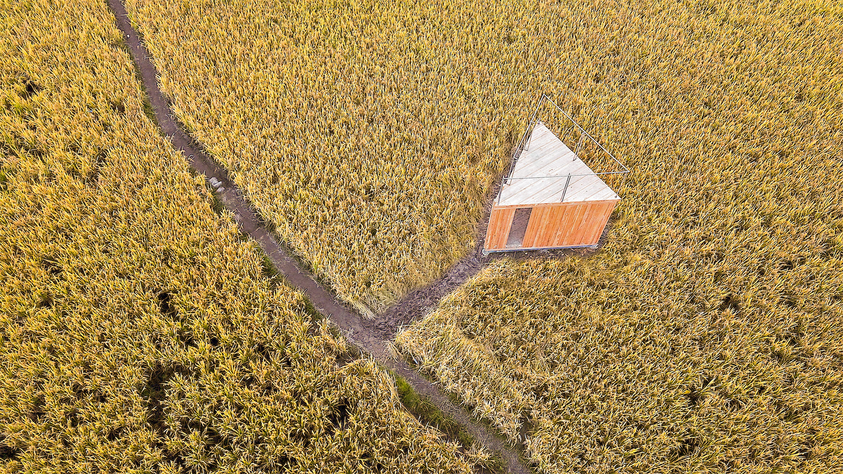 青石寨的稻亭和稻场，福建 / 个个世界+先进建筑实验室-75