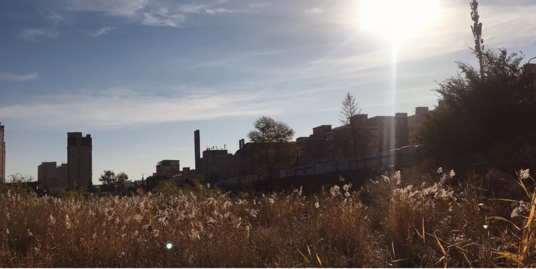 给城市最好的礼物｜长春万科·宽城拾光公园-25