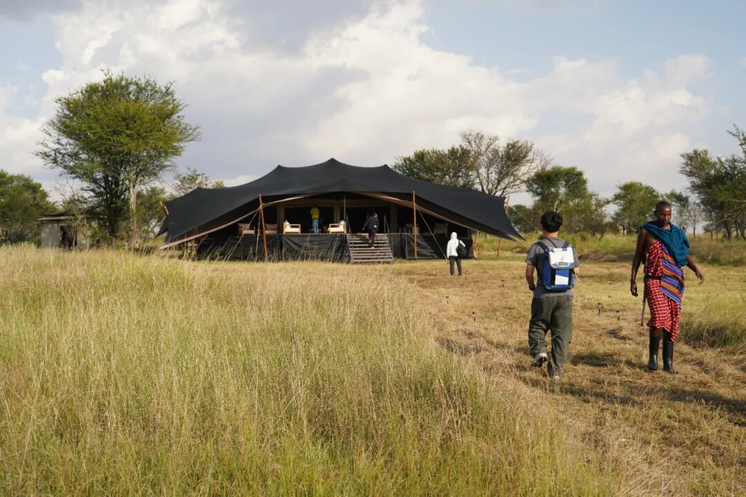 非洲考察2|坦桑酒店探访-165