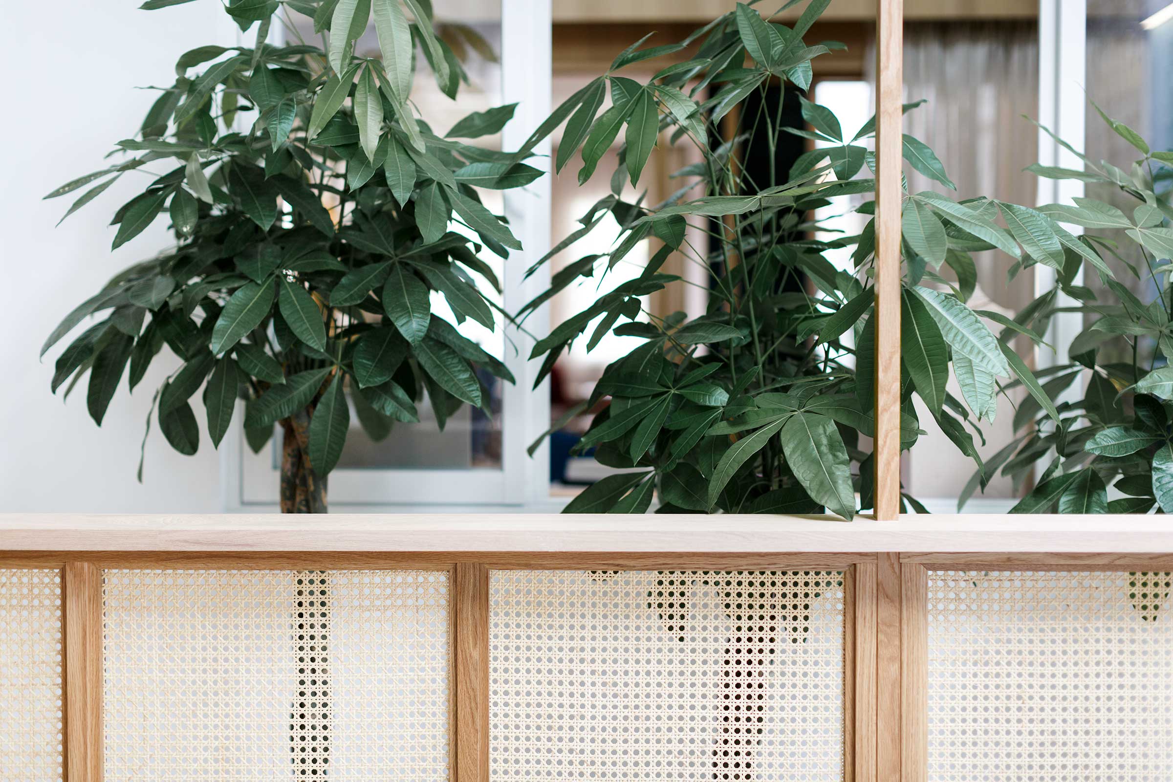 This Home Studio is an Elemental, Sentimental Space — Design Anthology-15