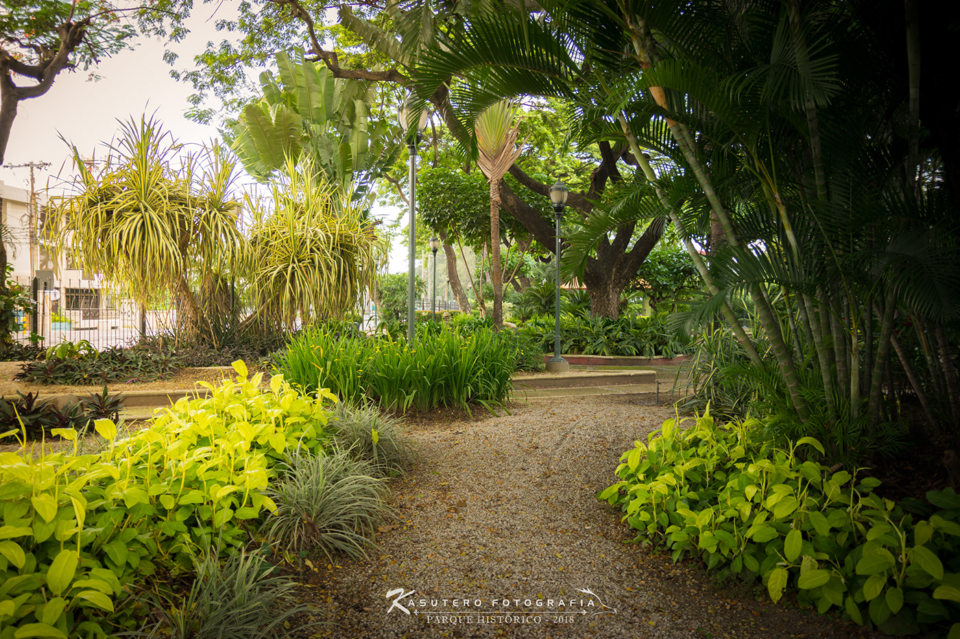 Anastasiya Gushchina丨公园丨Fotografía urbana-1