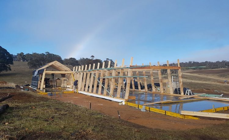 Ecokit“盒子房”住宅丨澳大利亚姐妹设计师卡米拉和帕夫拉-4