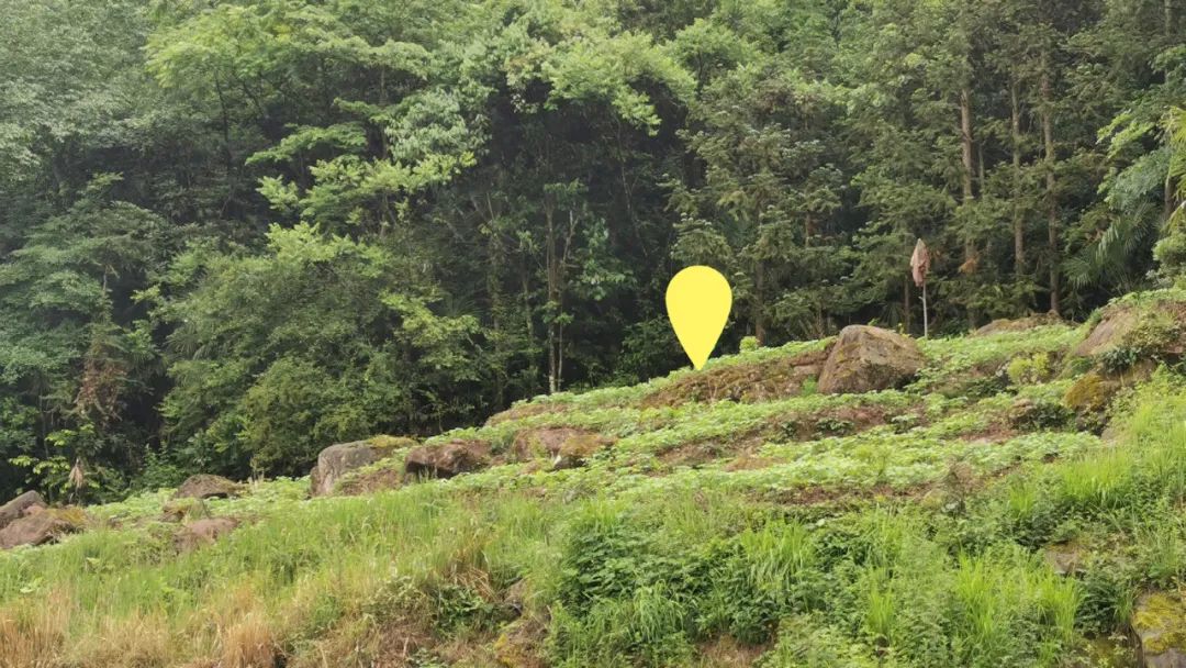 《青榭竹里》 | 即兴创作实践,重拾建筑温度-31