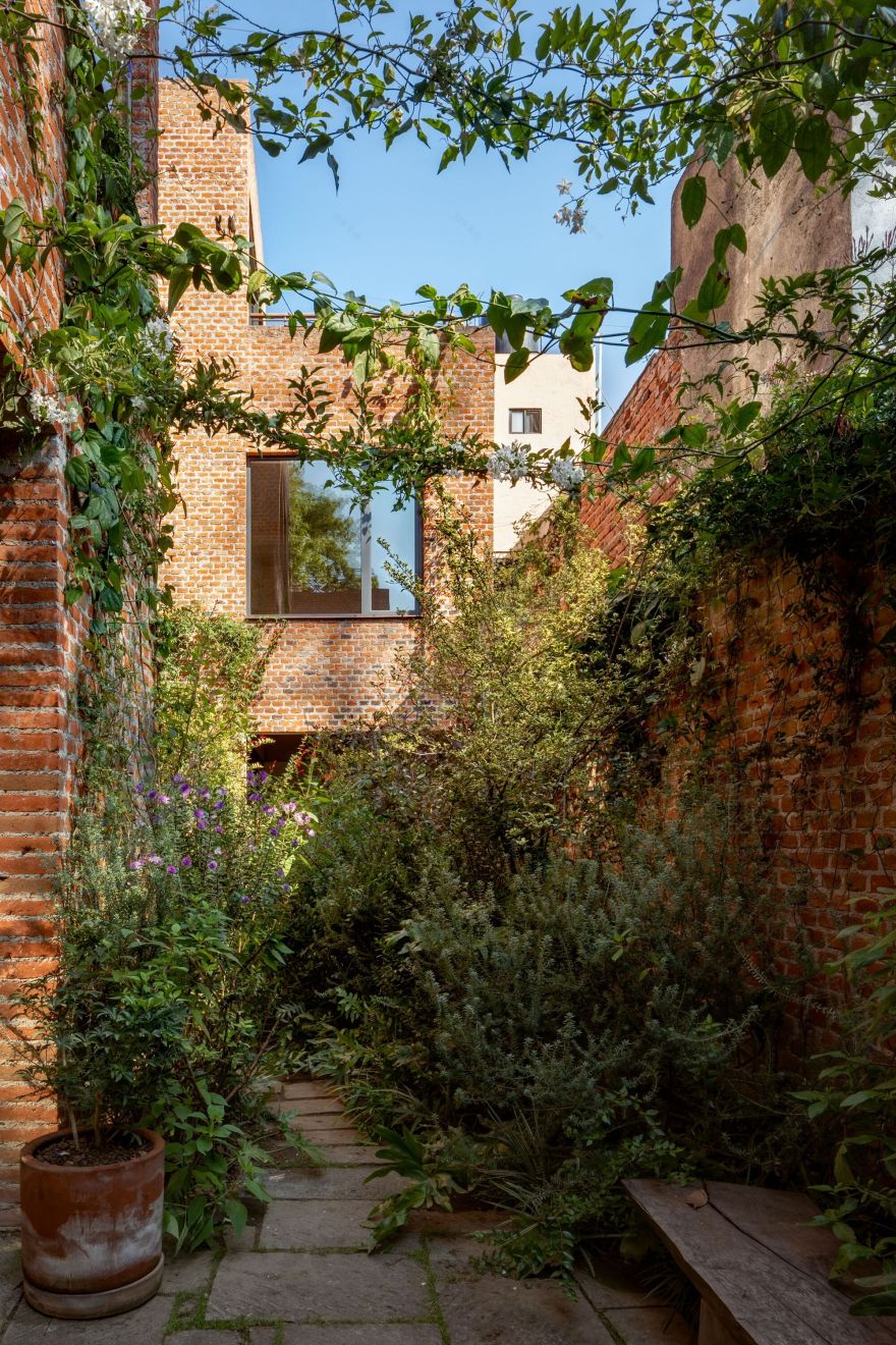 E8 住宅丨墨西哥墨西哥城-33