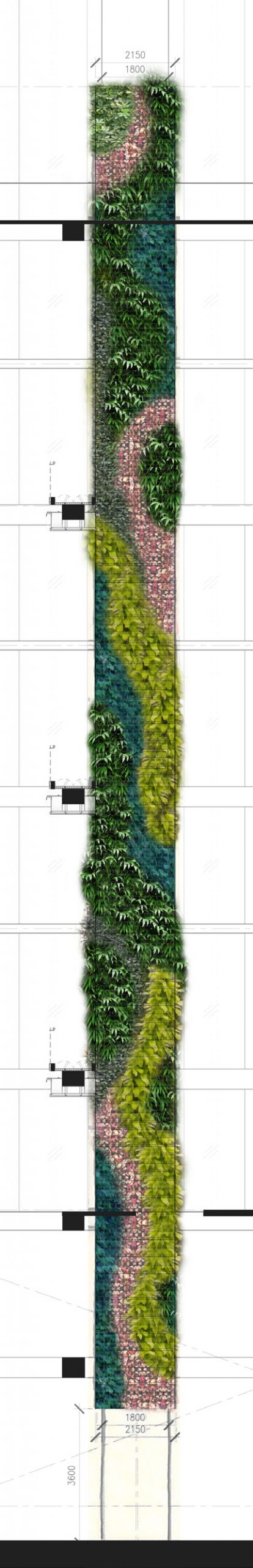 新加坡塞西尔街 158 号垂直绿化景观丨Tierra Design (S) Pte Ltd-20