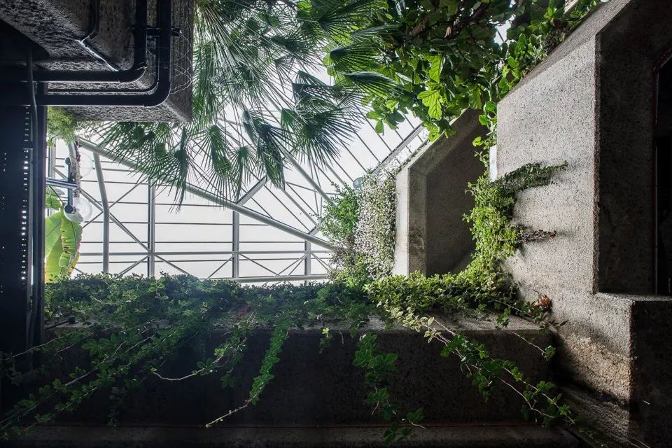 光影,结构与秩序 · 建筑摄影精选合辑-64