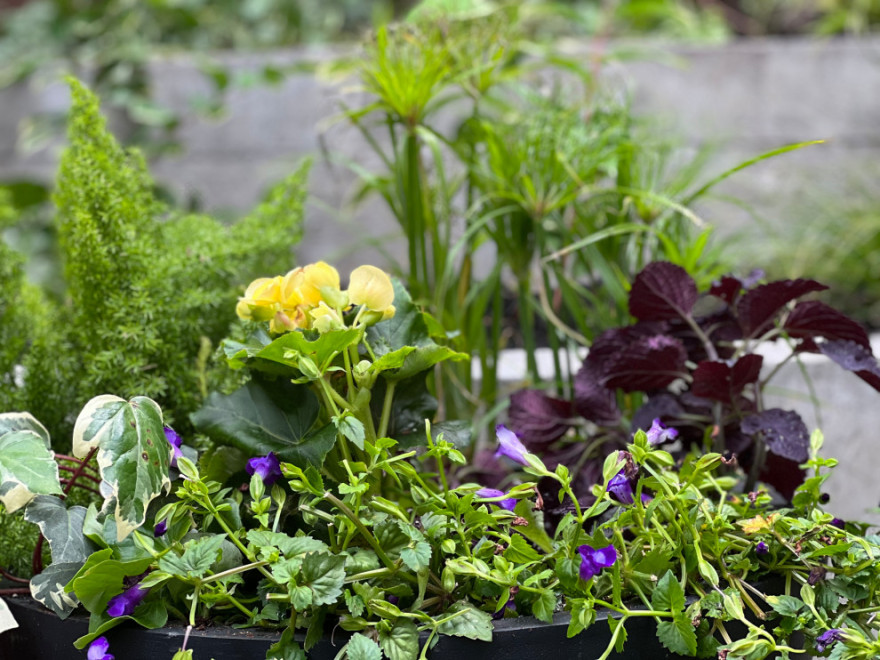 Williamsburg新公寓荫蔽花园丨美国纽约-41