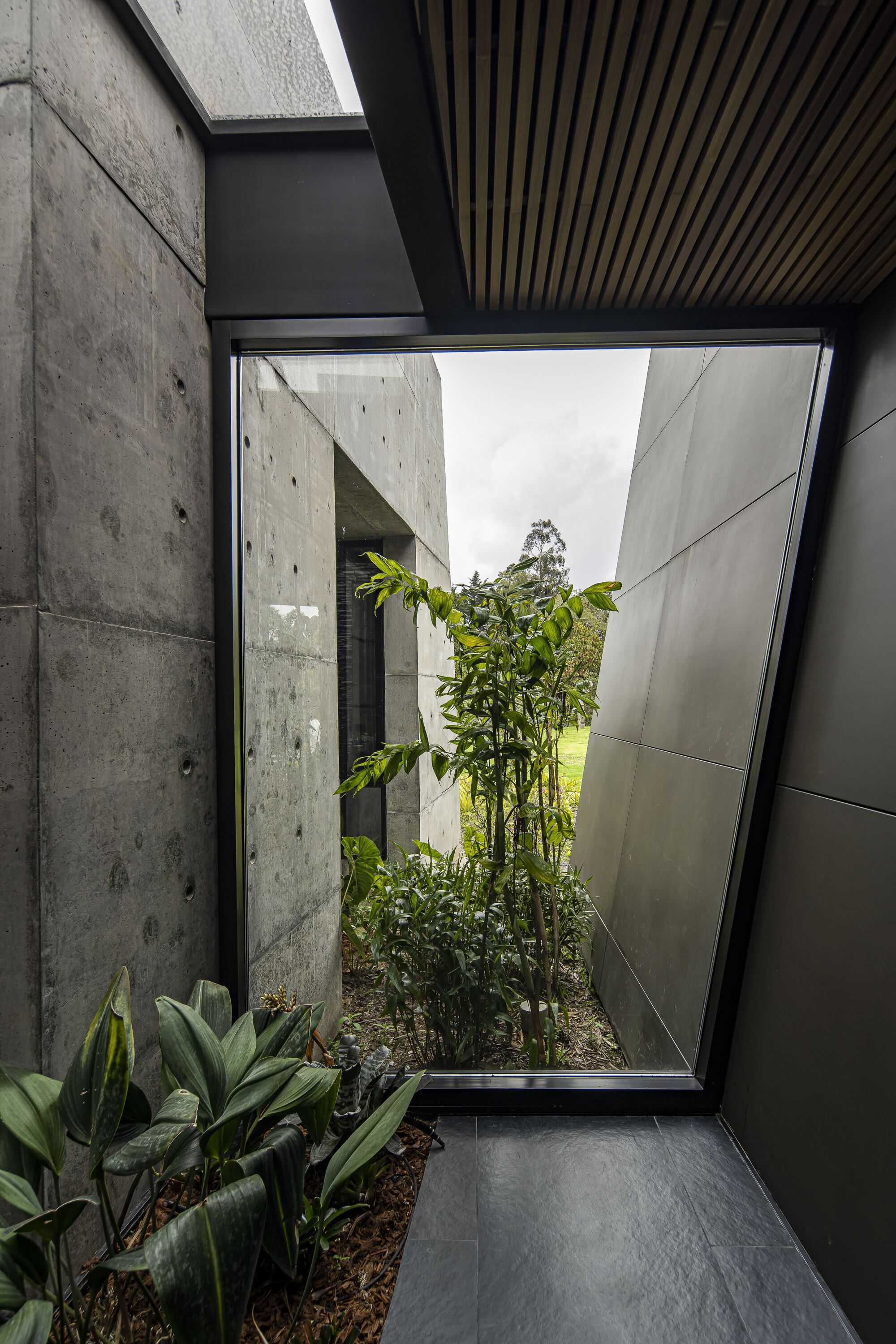 阿玛鲁纳之家丨哥伦比亚丨Plan:b arquitectos-53