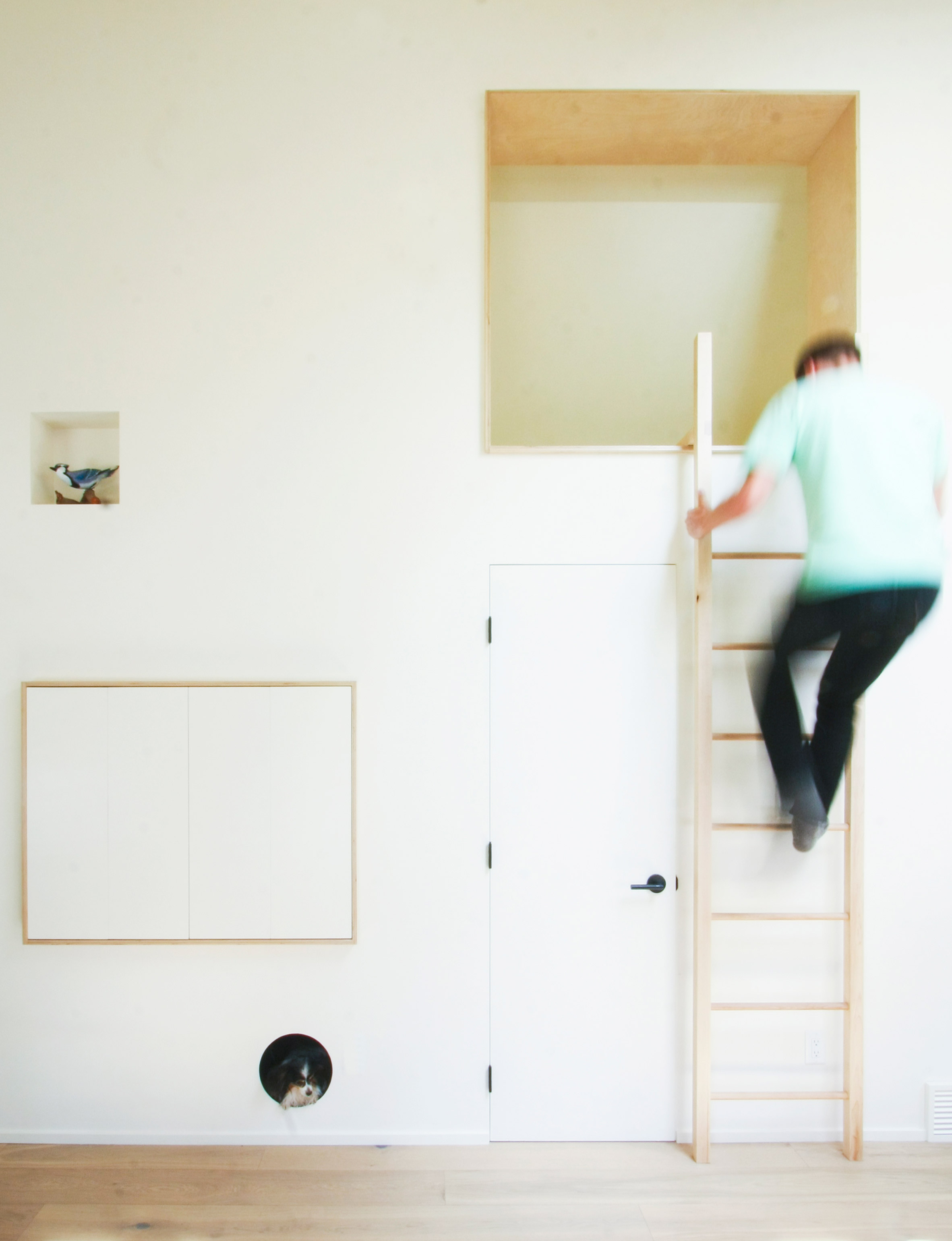 Dog nook and fireman's pole feature in laneway house by Studio North-10