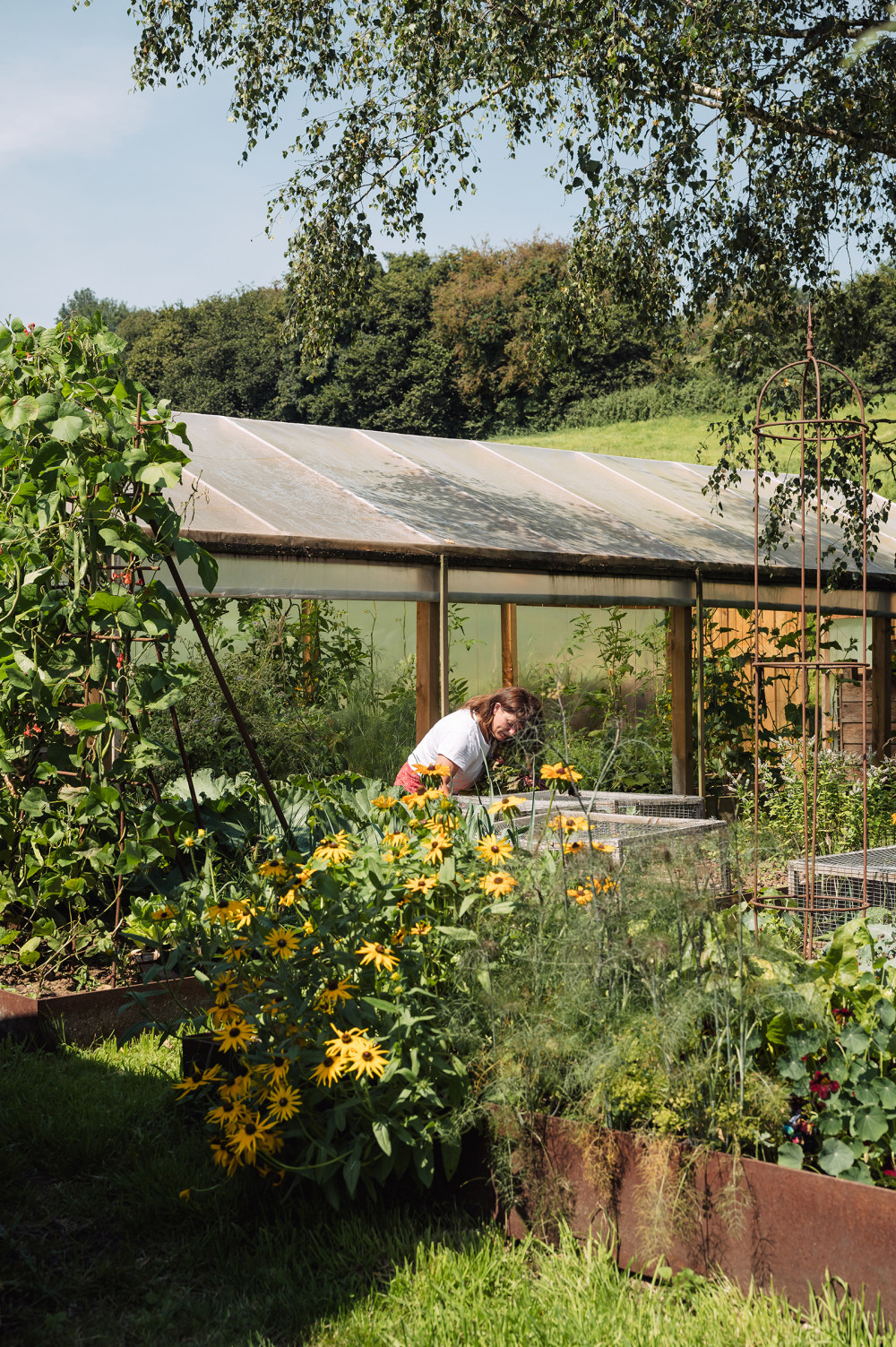 梅林夫妇的田园家居设计-10