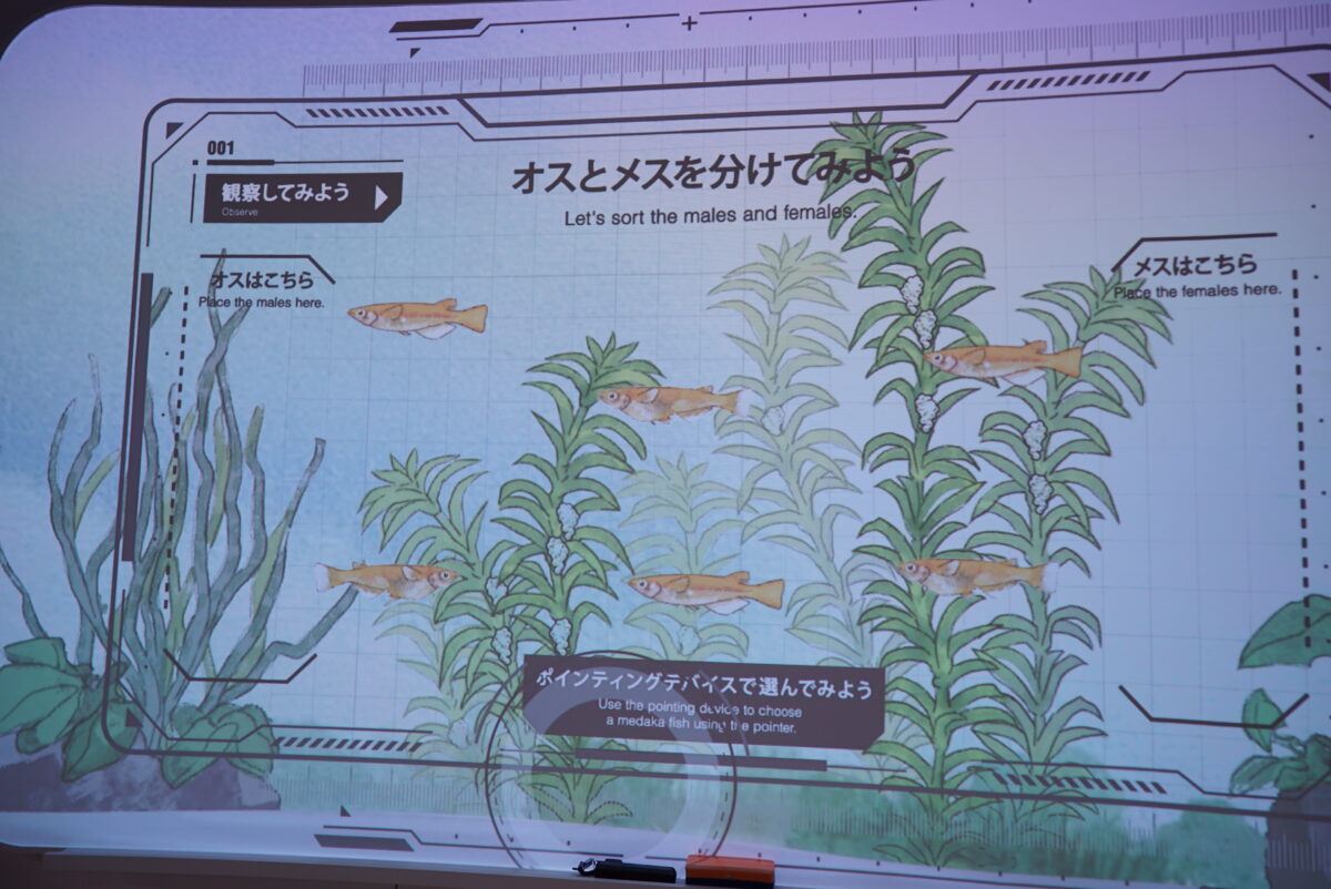東京書籍ブース 2025年日本国際博覧会(大阪・関西万博2025) 大阪ヘルスケアパビリオン | PROJECTS | anno lab-5