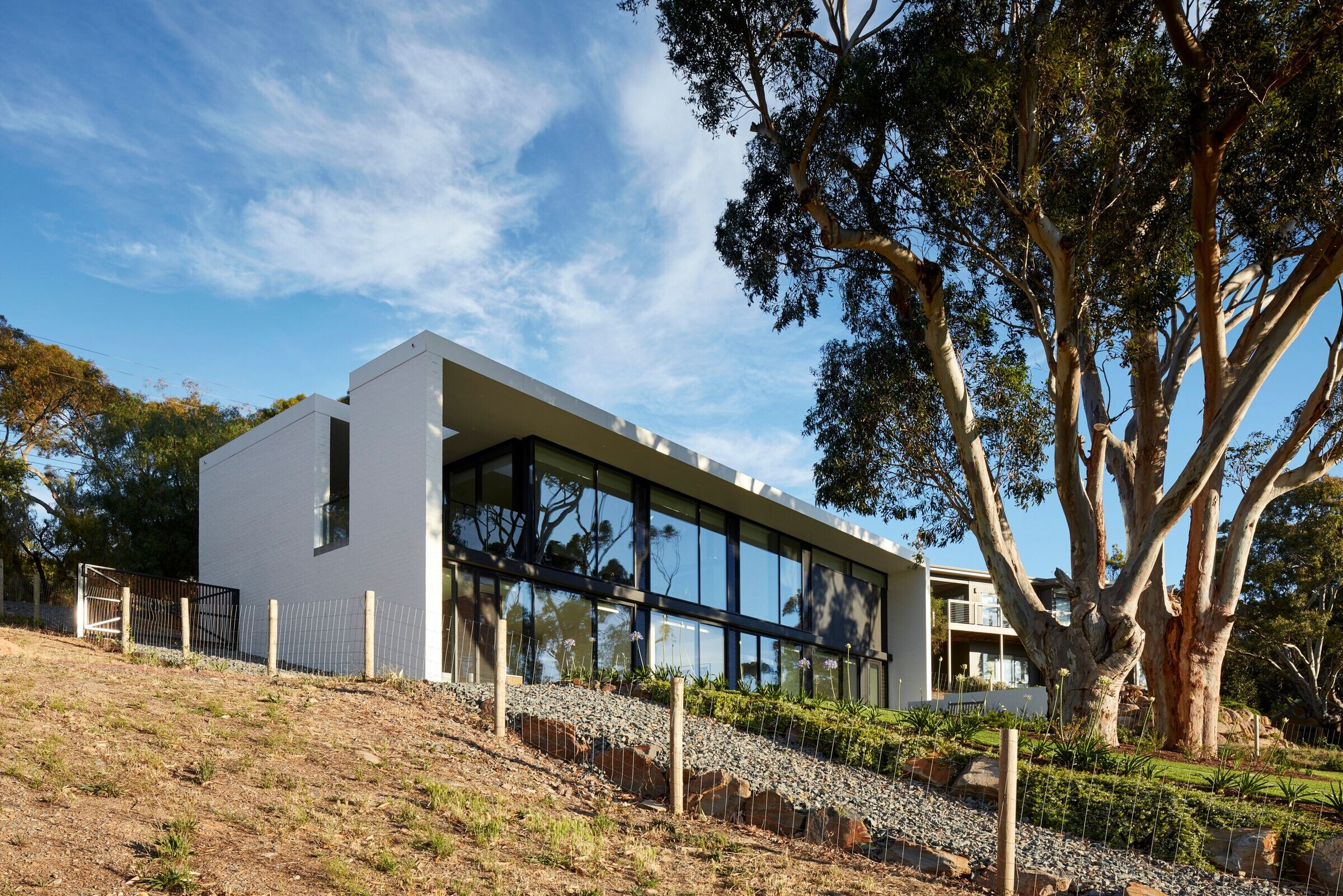 澳大利亚糖枫树之家-13