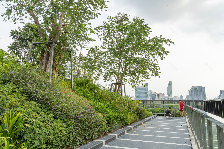 泰国曼谷 Siamscape 屋顶花园丨Shma Company Limited-22