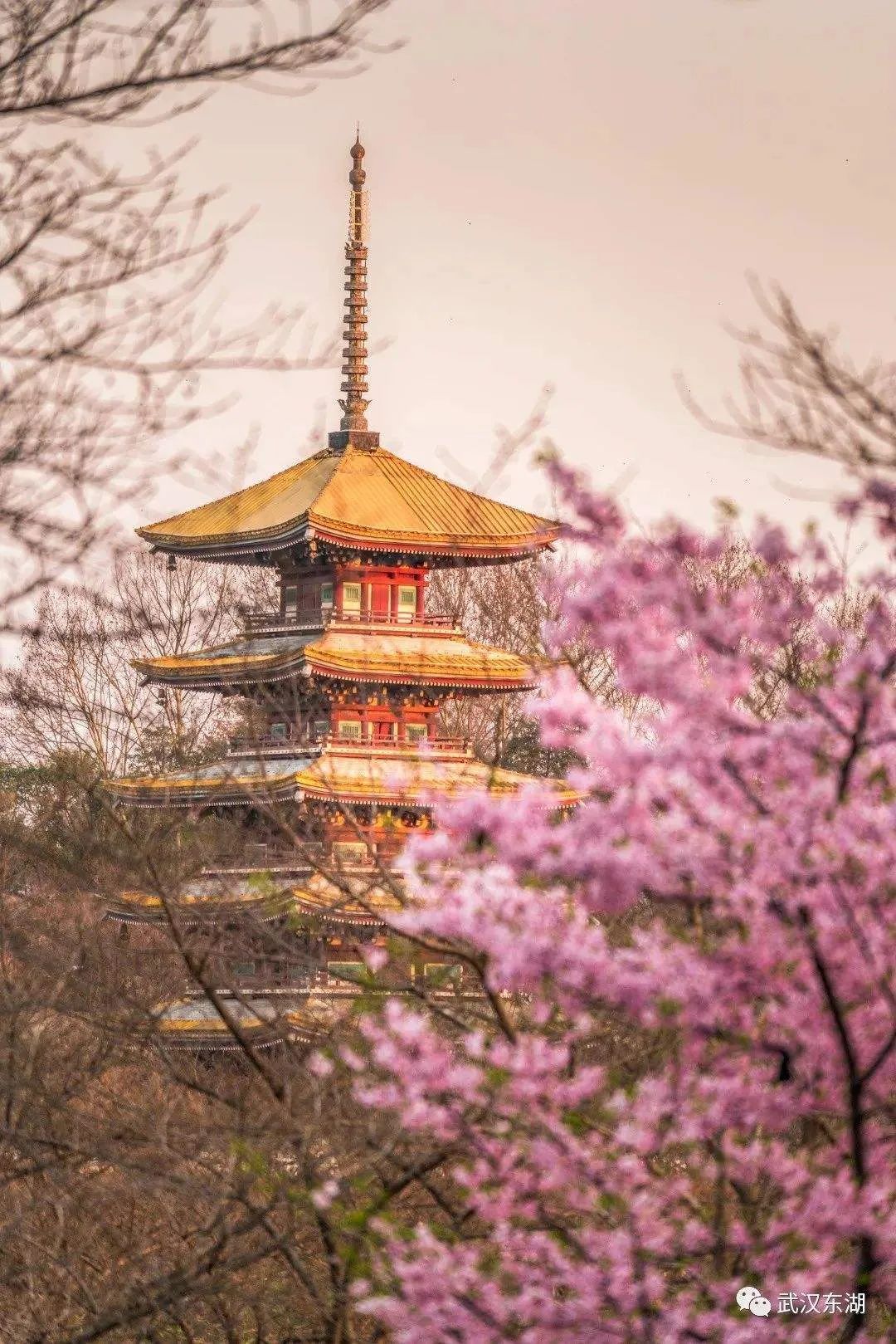 东湖金茂府新示范区丨中国武汉丨SWS Group-24