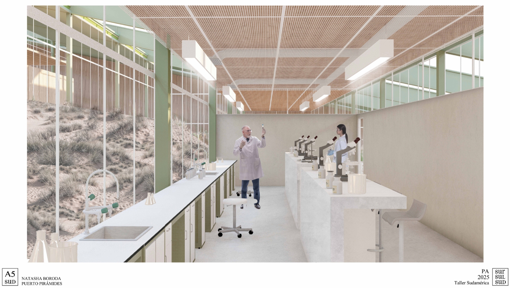 Puerto Pirámide | Centro de Investigacion-22