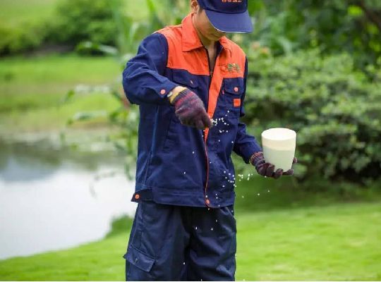 春季花园维护攻略,打造美丽庭院-32