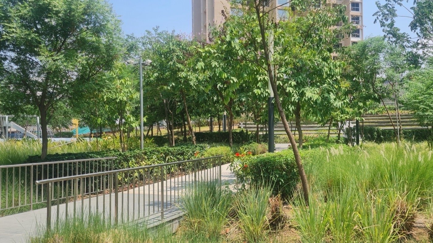 印度戈德雷吉河山中央绿地丨不详-19