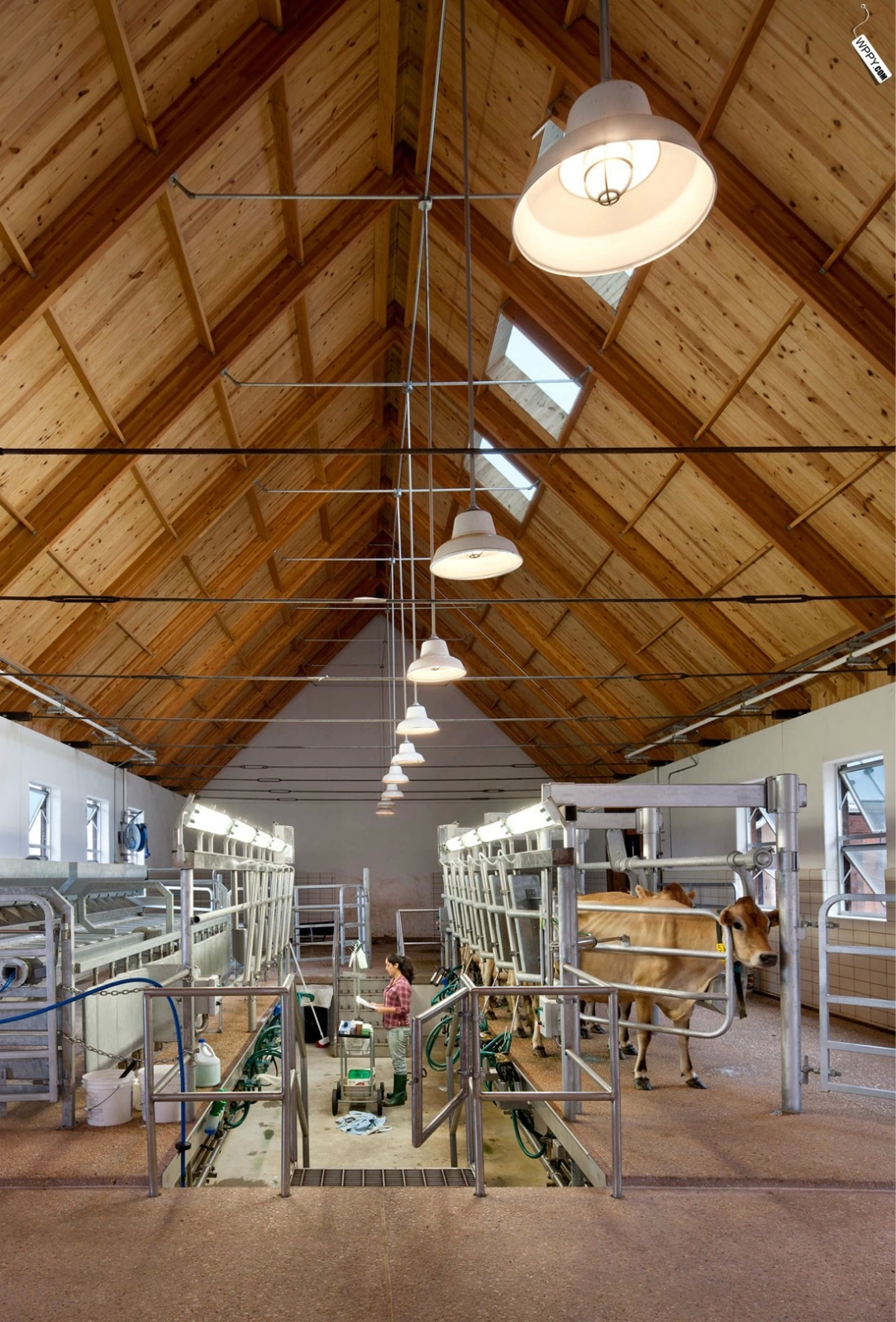 美国宾夕法尼亚的乡村住宅-10