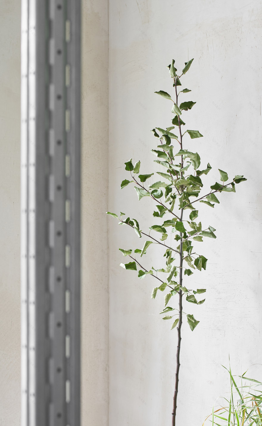 动物弹出窗口丨俄罗斯圣彼得堡丨DA Bureau-13