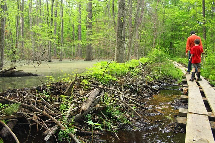 Shirley镇89英亩物业开发规划项目丨美国-8