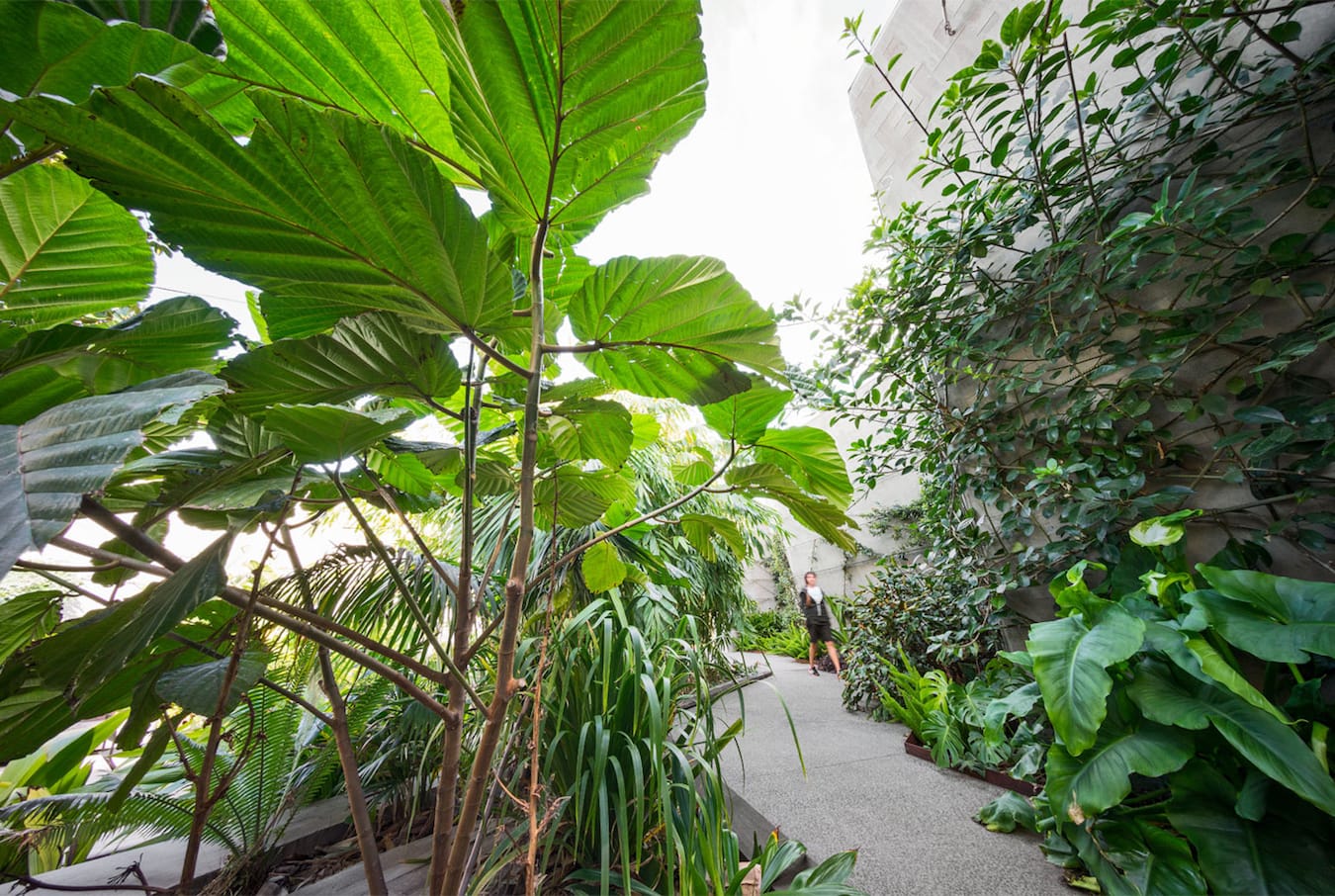 澳大利亚墨尔本战争纪念馆-32