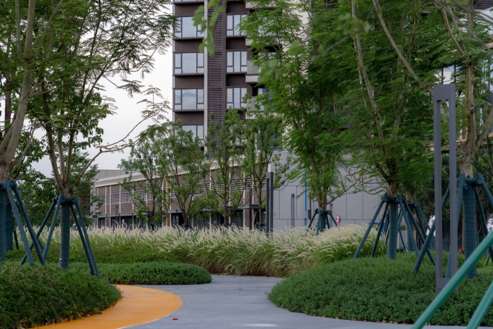 和祐医院周边公园设计丨中国佛山丨睿住天元-79