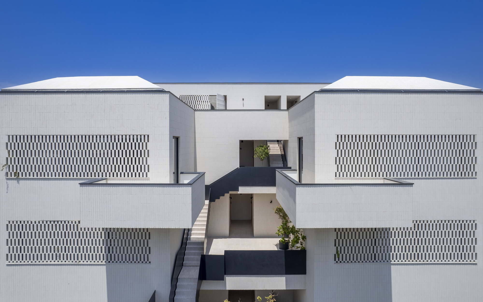 疯狂阶梯丨伊朗丨Sepide Elmi-34