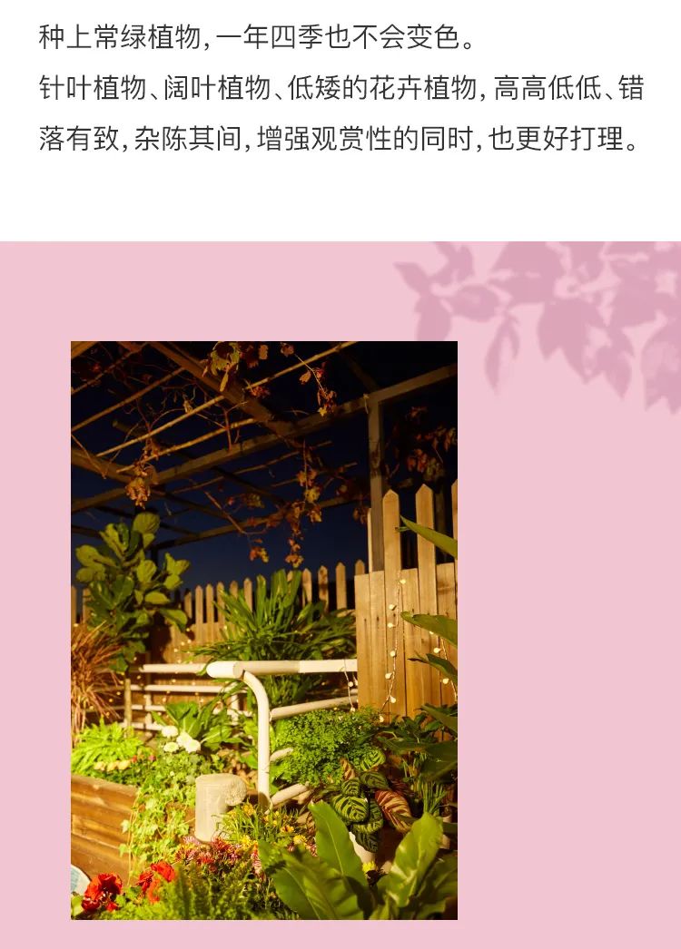 "160W 粉丝网红奶奶的露天花园改造记"-14