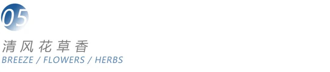 成都青云阙大区丨中国成都丨WDD问道景观-36