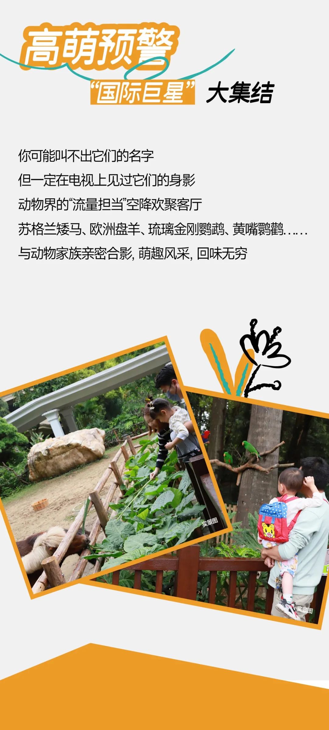 萌宠总动员！华润置地欢聚客厅盛大开放-3