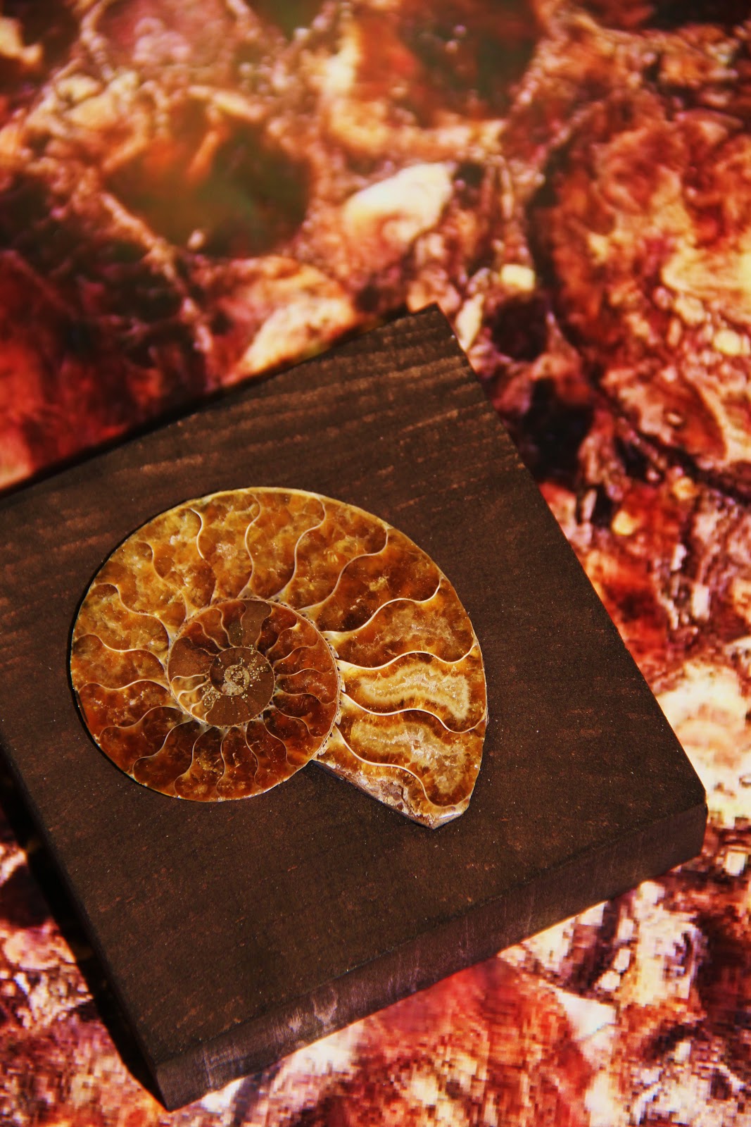 《来自俄罗斯的爱情》丨俄罗斯丨Beckwith Interiors-4