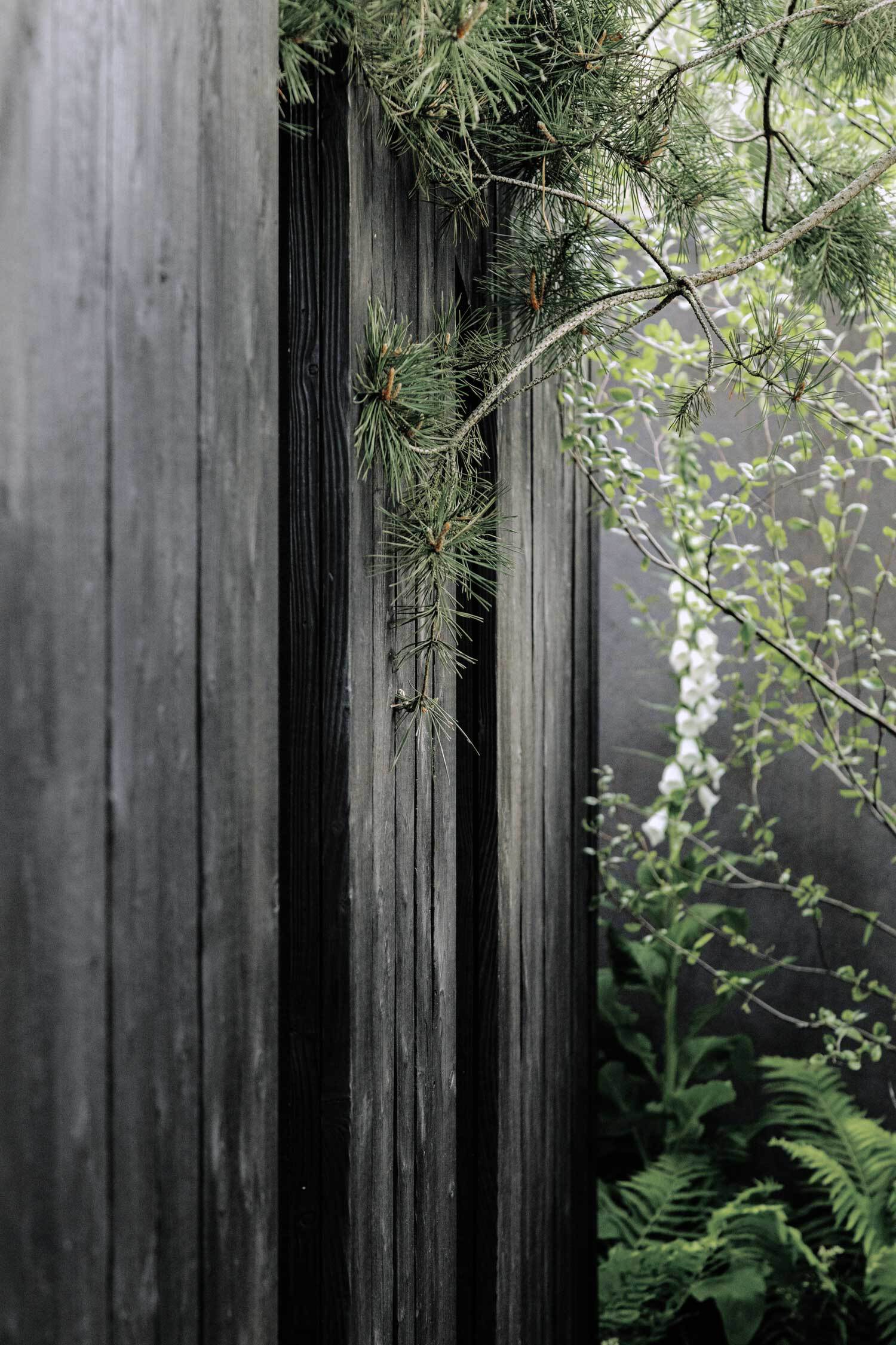 木屋民宿丨美国波士顿丨Koto（建筑设计）,Koto Living（室内与照明设计）-35