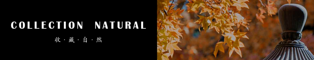 台州绿城凤起潮鸣 398㎡样板间丨中国台州丨SRD 赛瑞迪普设计-7