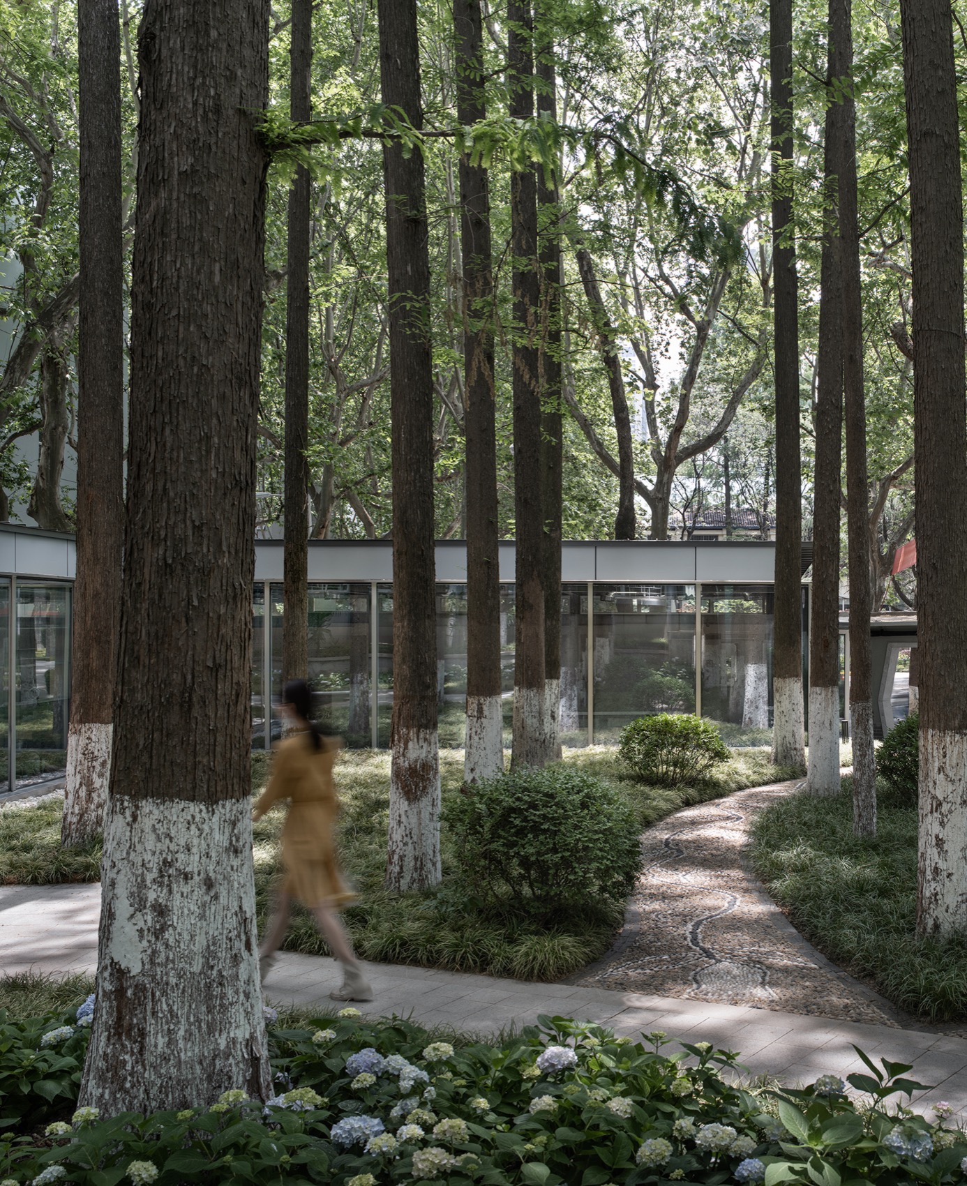 南京大学南园景观亭丨中国南京丨南京大学建筑规划设计研究院有限公司间架工作室-34