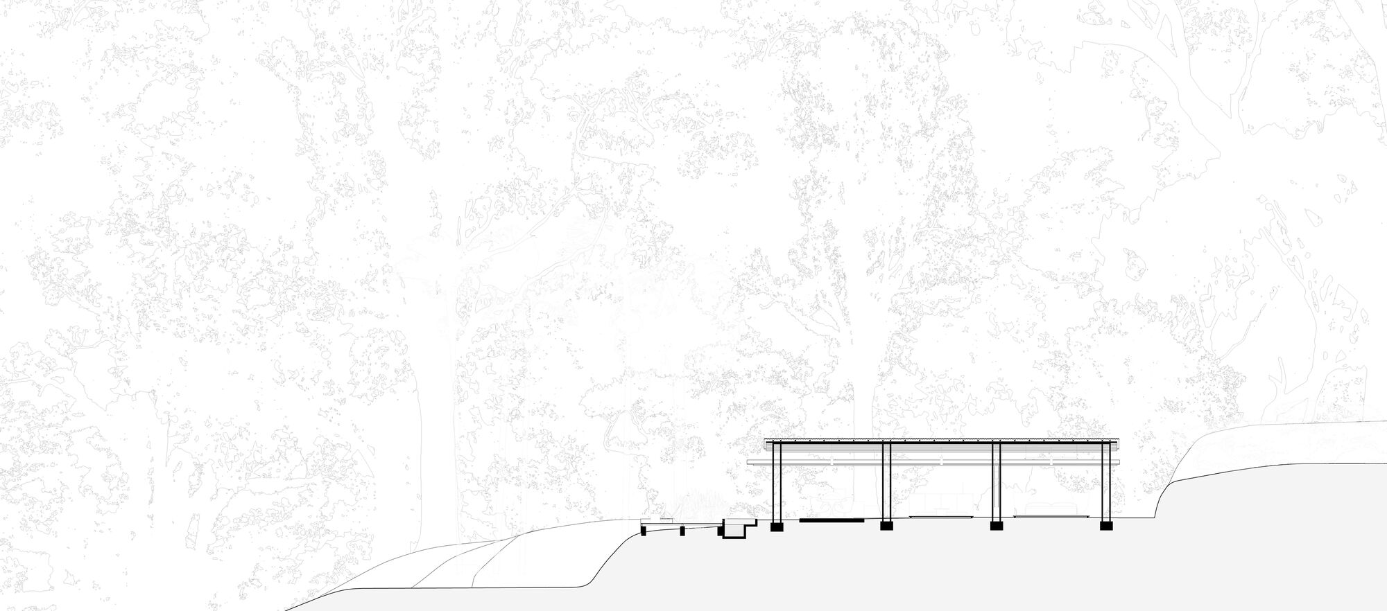 丛林开放日丨哥斯达黎加丨Ksymena Borczynska-18