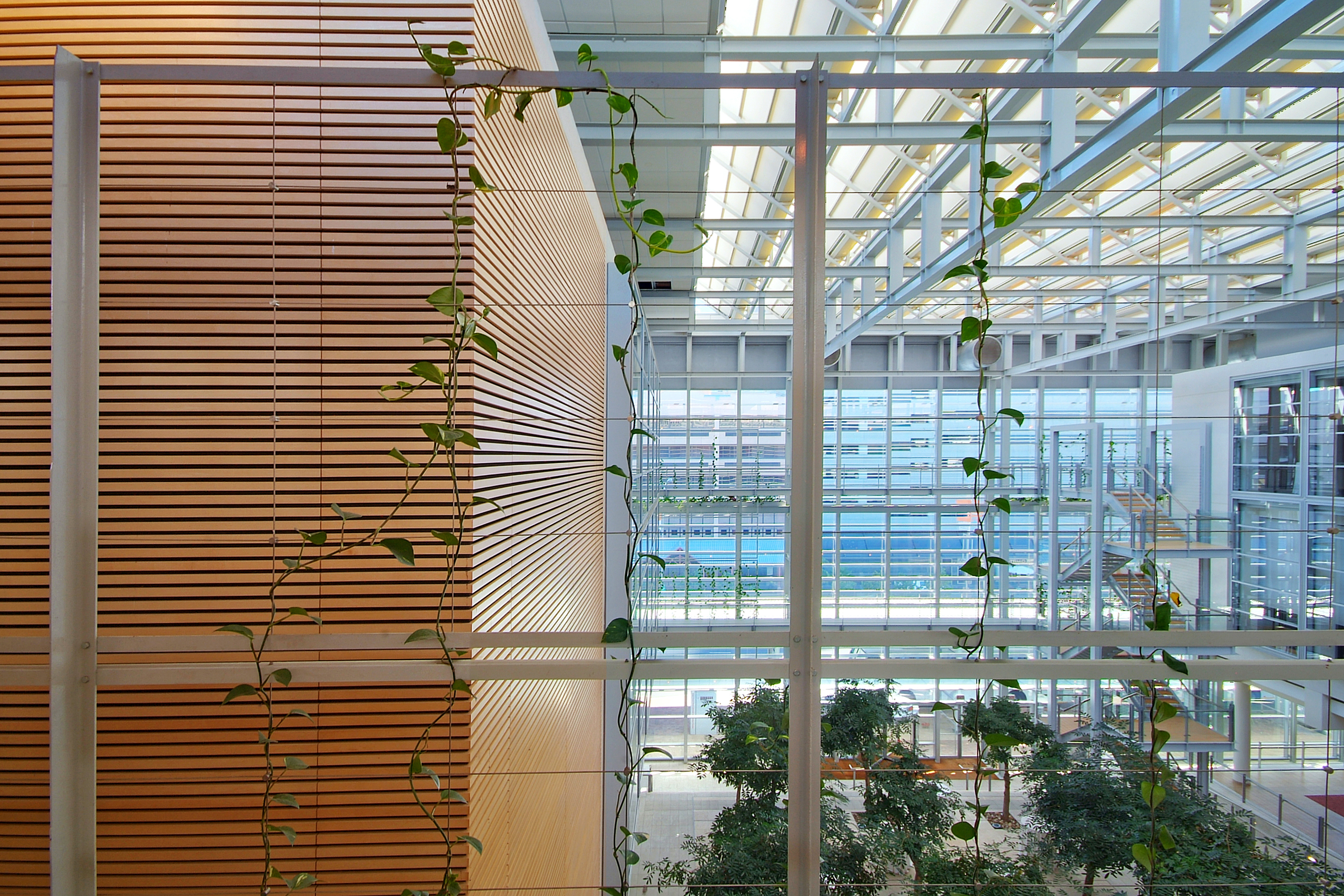 南非开普敦国际会议中心-14