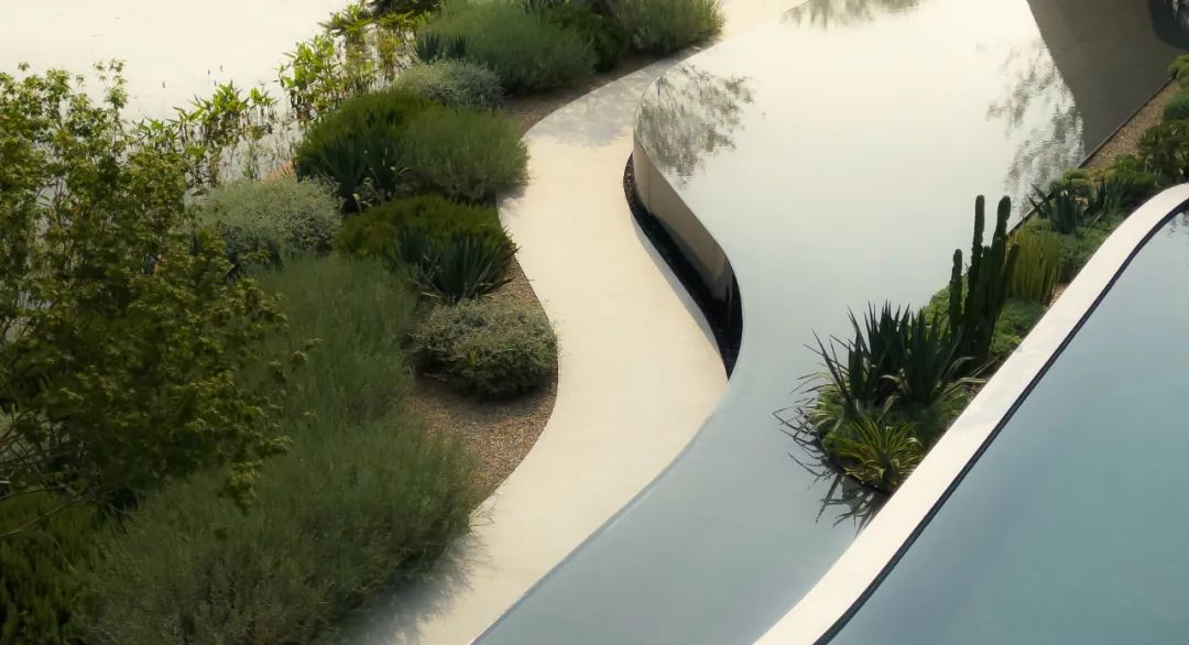 未来曲度 | 麓湖样板岛的新实验场-8