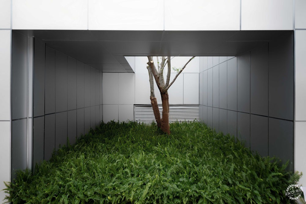 行走在光影流轉的紅緋之間 - WEHOUSE-11