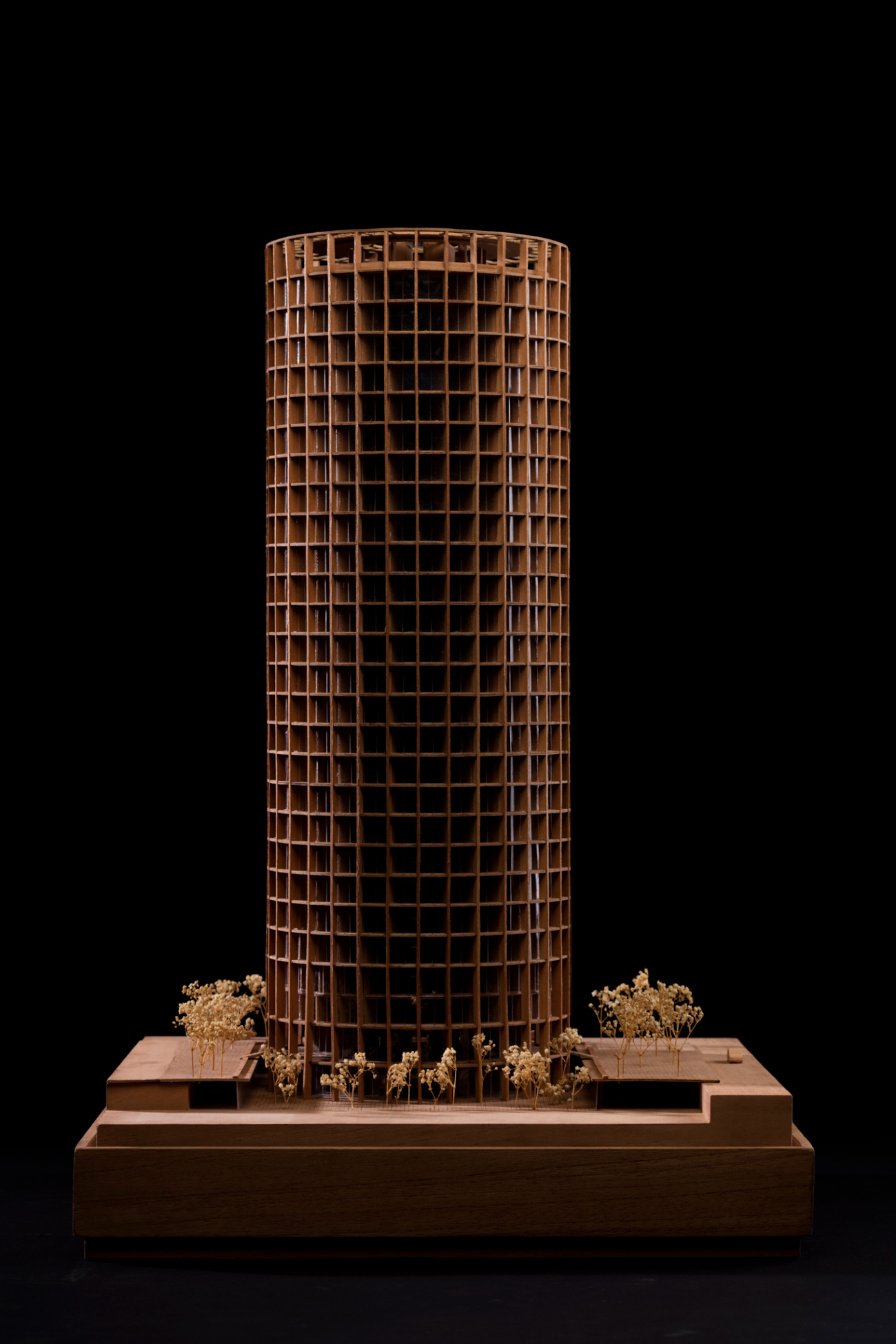 Torre Nuevo Polanco-1