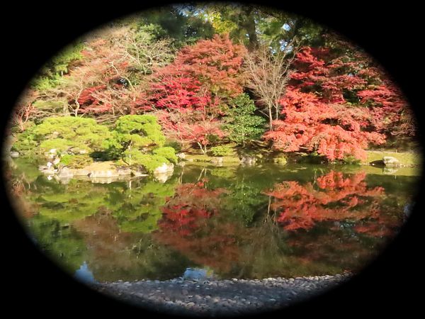 京都御所庭园丨日本京都-50