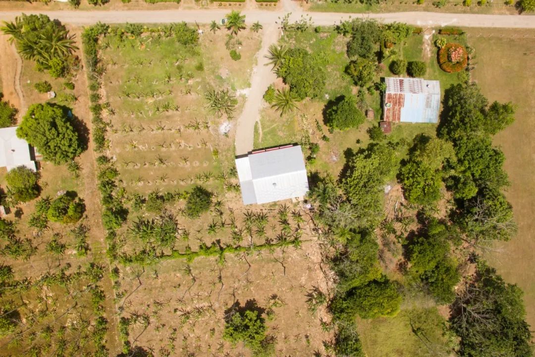 乡间农场 90 平米临建钢构住宅-36